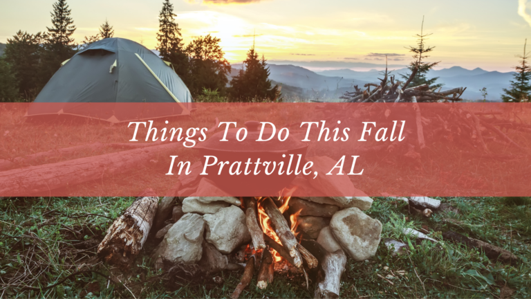 to do this fall