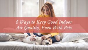 good indoor air quality even with pets